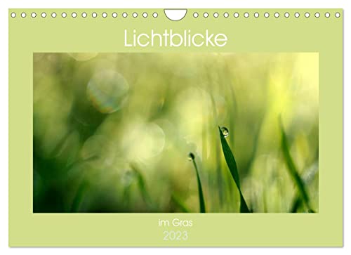 Lichtblicke im Gras (Wandkalender 2023 DIN A4 quer): Die Natur ist eine Künstlerin. (Monatskalender, 14 Seiten )