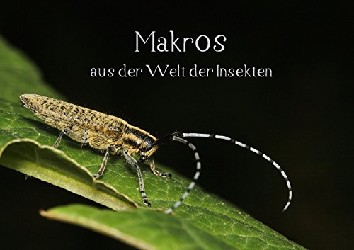 Makros aus der Welt der Insekten (Posterbuch DIN A4 quer): Der Kosmos der Insekten ist riesig. Einen faszinierenden Einblick an Details zeigt dieses Posterbuch (Posterbuch, 14 Seiten)