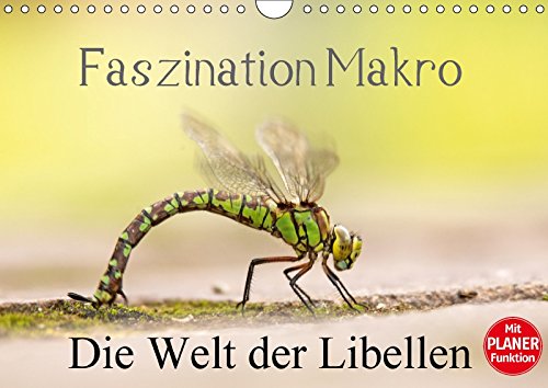 Faszination Makro - Die Welt der Libellen (Wandkalender 2017 DIN A4 quer): Zauberhafte Fotografien mit Informationen zu den einzelnen Libellen (Geburtstagskalender, 14 Seiten )